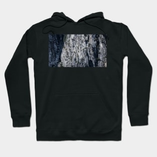 Yosemite National Park - Rock detail Hoodie